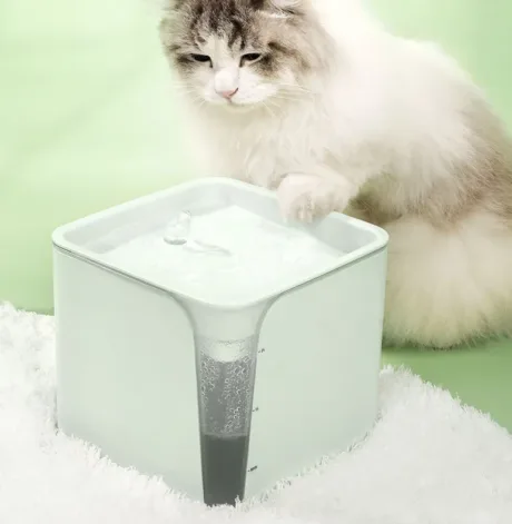 Best Automatic Circulating Water Dispenser for Cats